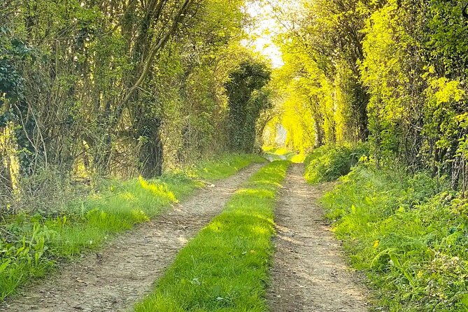 one-day-road-trip-from-london-to-the-cotswolds