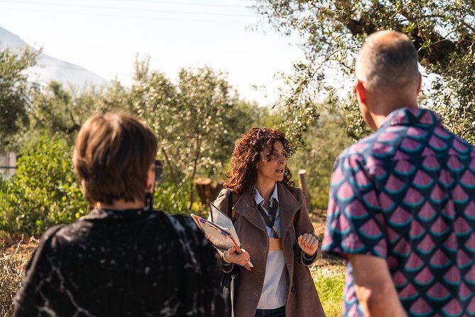 organic-olive-grove-tour-olive-oil-tasting-lunch-in-kalamata