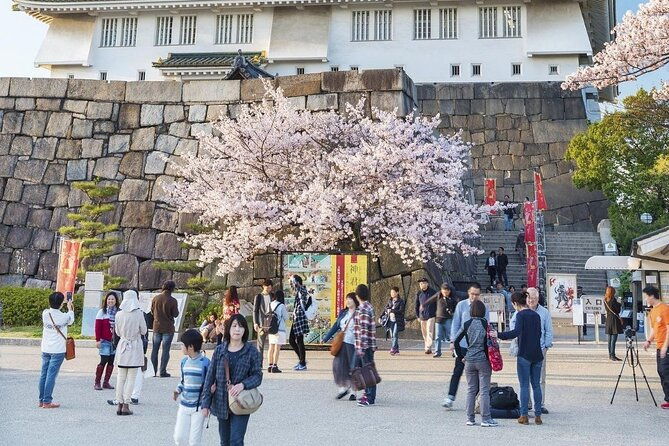 osaka-cherry-blossom-tour-with-a-local-100-personalized-private