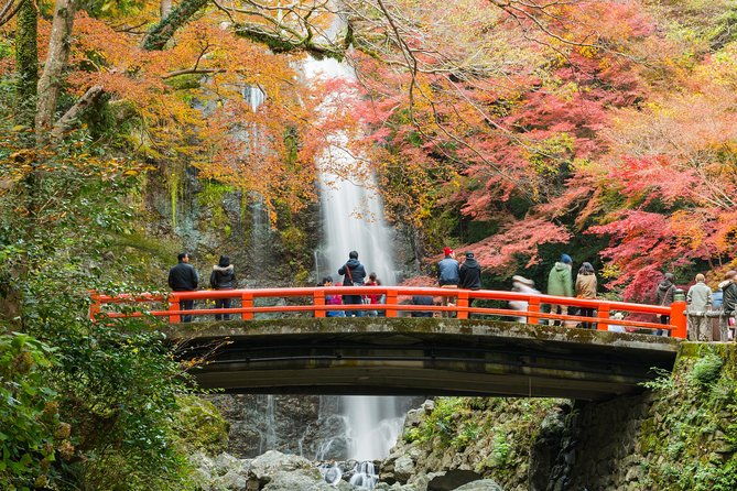 osaka-private-tours-by-locals-100-personalized-see-the-city-unscripted