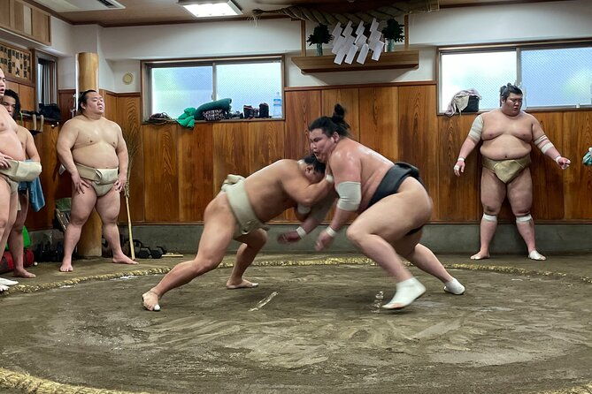 osaka-sumo-morning-practice-watching-experience