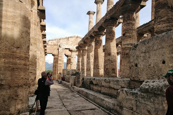 paestum-traditions-buffaloes-ceramics-temples