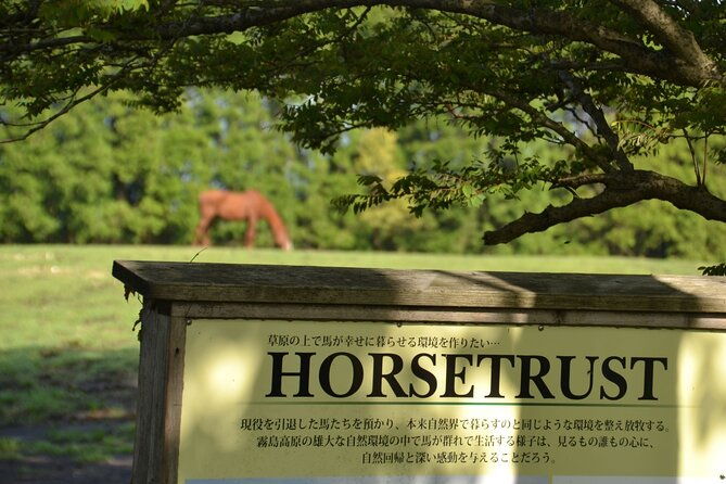 pasture-hike-with-horse-whisperer-at-horse-trust-in-kagoshima