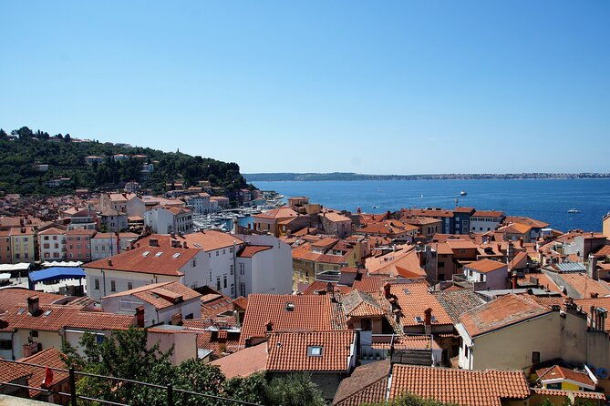 piran-panoramic-slovenian-coast-small-group-tour-from-koper