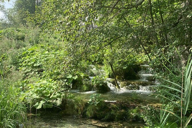 plitvice-lakes-excursion-day-tour-from-zadar