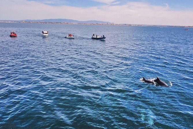 portimao-benagil-caves-speedboat-tour