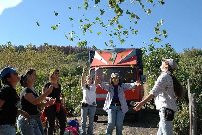 private-6-hour-tour-of-three-etna-wineries-with-foodwine-tasting