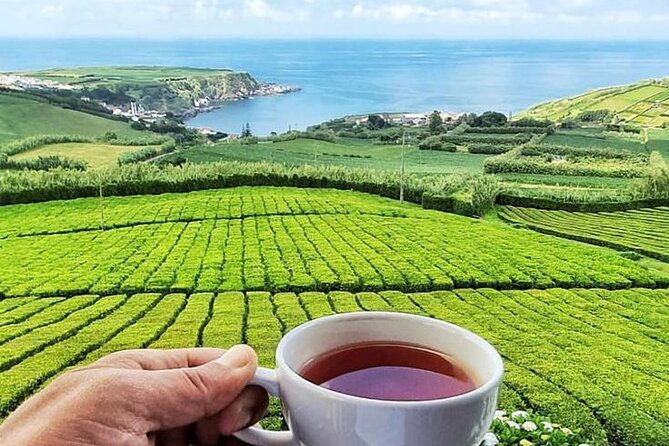 private-all-of-furnas-tea-plantation-ticket-to-beija-included