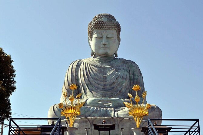 private-car-experience-kobe-citys-best-gems-in-a-private-car