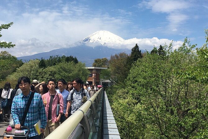 private-car-mt-fuji-and-gotemba-outlet-in-one-day-from-tokyo