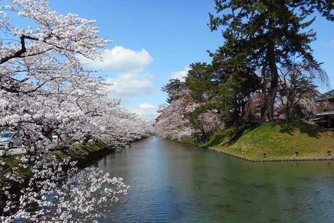 private-cherry-blossom-tour-in-hirosaki-with-a-local-guide