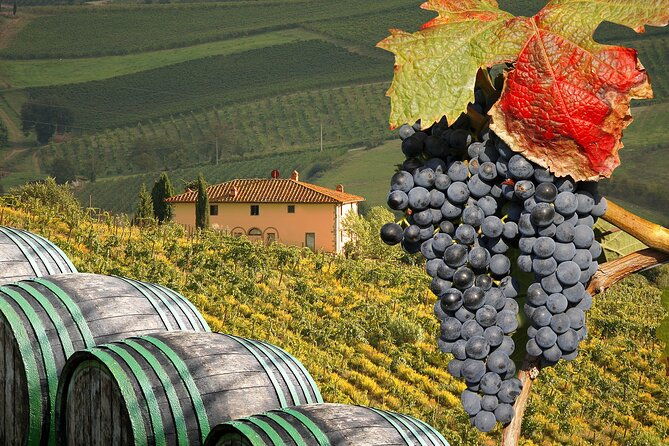private-chianti-tour-and-wine-tasting