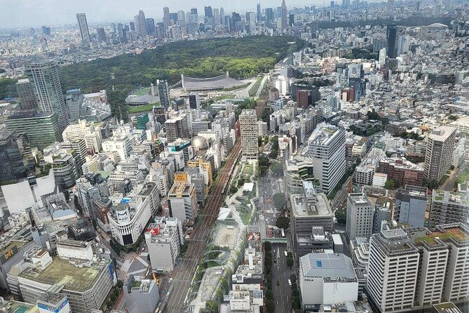 private-custom-tokyo-tour-with-a-tokyo-resident-pro-guide-by-car