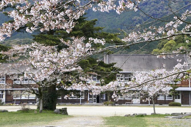 private-day-trip-to-kumamoto-asakura-from-fukuoka-with-minibus