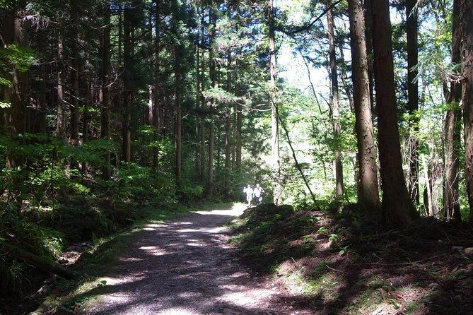 private-full-day-magome-tsumago-walking-tour-from-nagoya