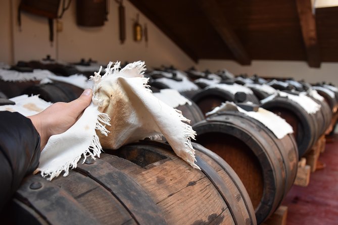 private-full-day-parma-food-tour-parmesan-cheese-parma-ham-lunch-vinegar