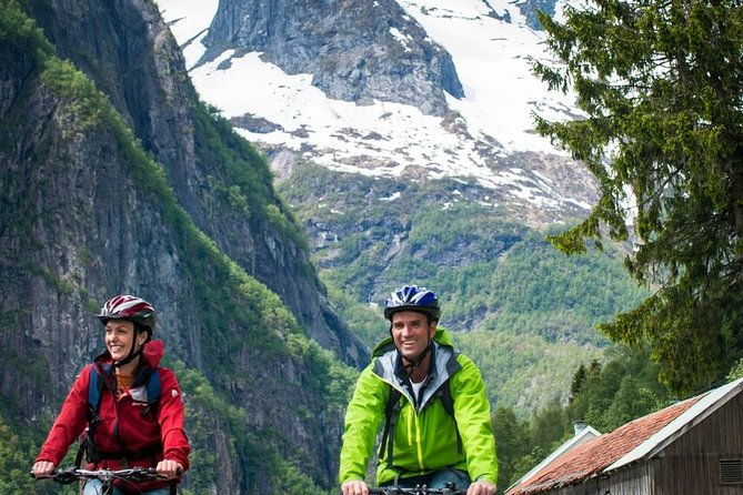 private-full-day-round-trip-from-oslo-to-sognefjord-via-flam-railway