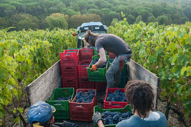 private-full-day-siena-and-chianti-classico-wine-experience