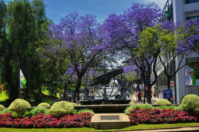private-funchal-city-tour-by-tukxi