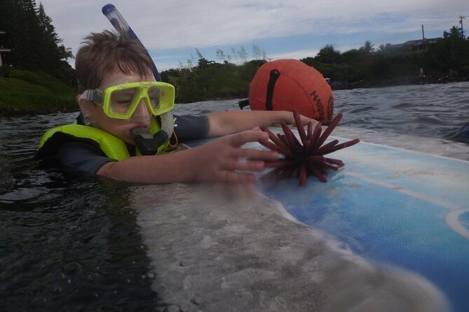 private-group-snorkel-adventure-on-tropical-reef-with-sea-turtles