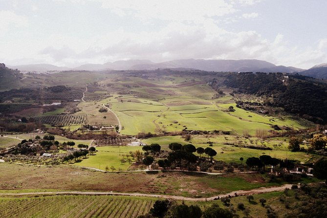 private-guided-day-trip-to-the-white-villages-and-ronda-from-seville
