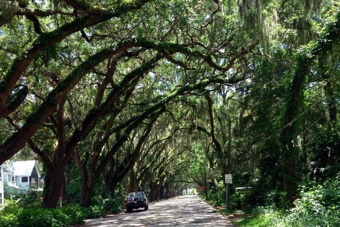 private-guided-historic-electric-cart-tour-of-st-augustine