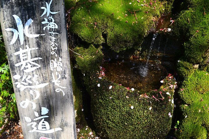 private-guided-tour-mt-aso-volcano-grasslands-aso-shrine