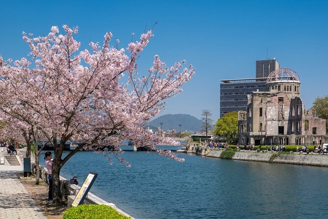 private-hiroshima-cherry-blossom-and-sakura-experience
