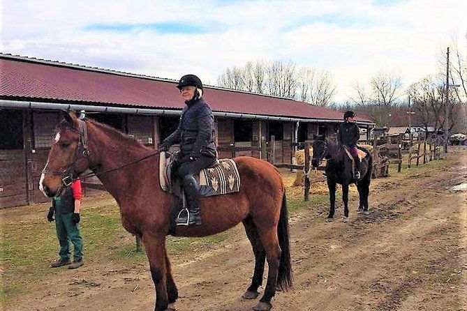 private-horse-riding-near-budapest-with-transport