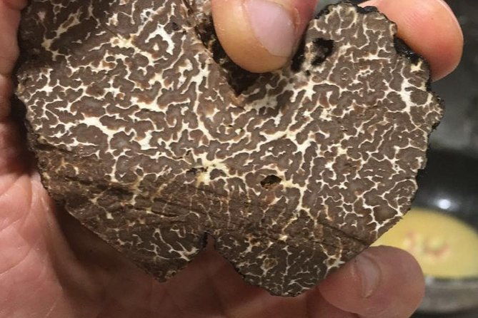 private-hunting-of-truffle-and-mushrooms-with-chef-luigi-gandola-in-bellagio
