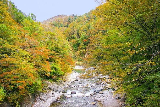 private-karuizawa-nagano-tour-bilingual-chauffeur