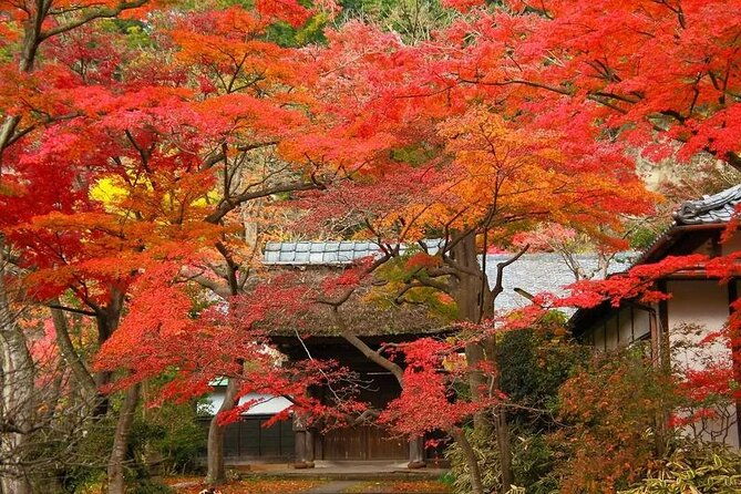 private-kimono-photo-shooting-tour-in-ancient-city-kamakura