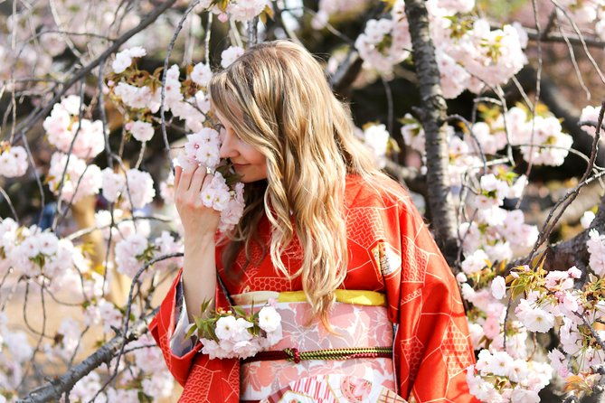 private-kimono-photo-tour-in-tokyo