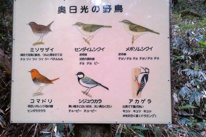 private-morning-hike-around-nikko-toshogu-shrine