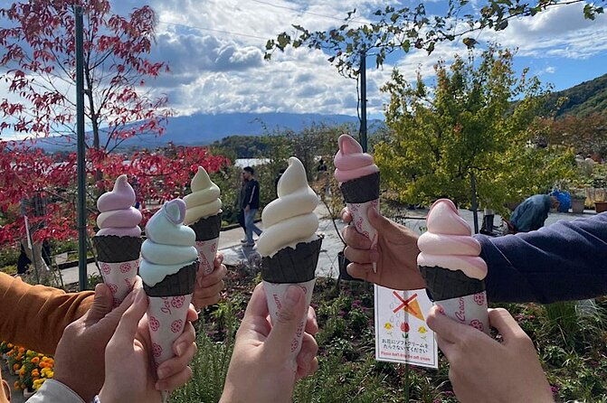 private-mount-fuji-and-hakone-sightseeing-day-trip-with-guide