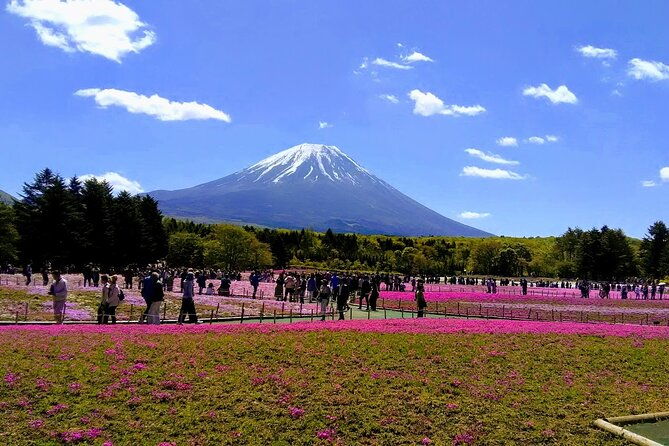 private-mount-fuji-day-trip-from-tokyo-by-car