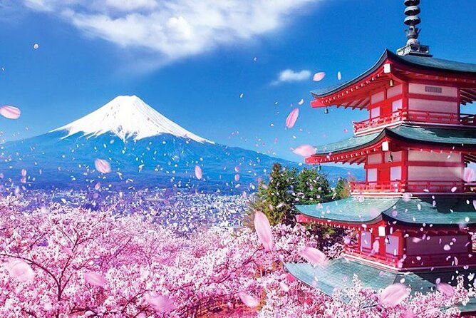 private-mount-fuji-sightseeing-day-trip-with-guide