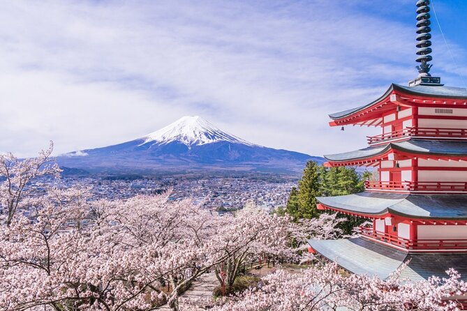 private-mt-fuji-custom-tour-from-tokyo