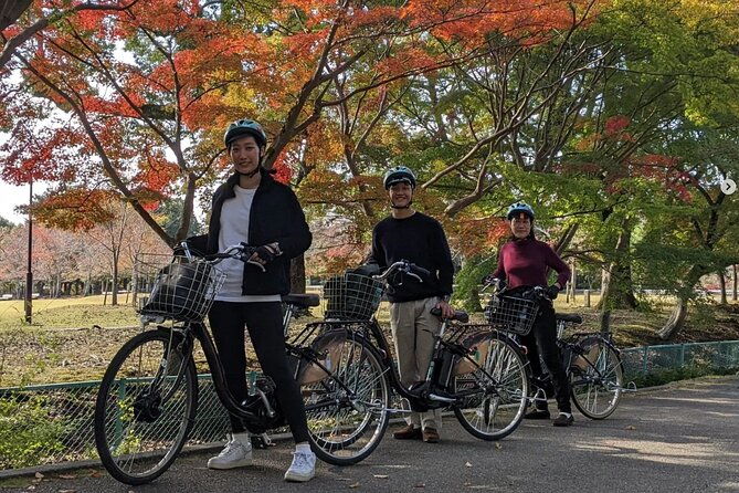 private-nara-e-bike-family-tour-with-lunch