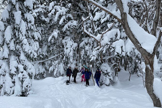private-snow-shoe-tour-in-shiretoko-national-park
