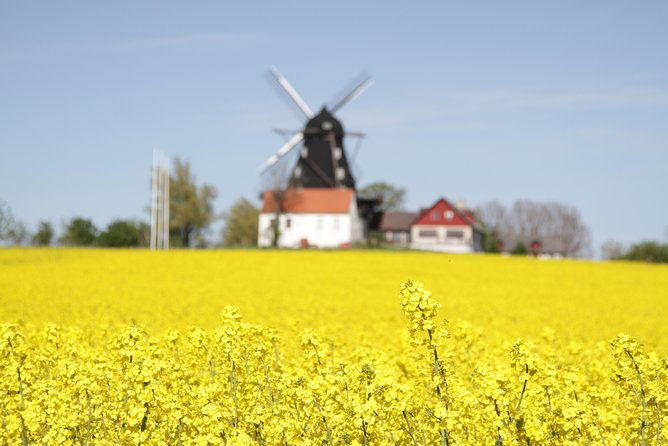 private-tour-copenhagen-to-lund-malmo-city-daytrip