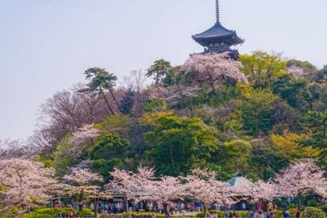 private-tour-guide-yokohama-with-a-local-kickstart-your-trip-personalized