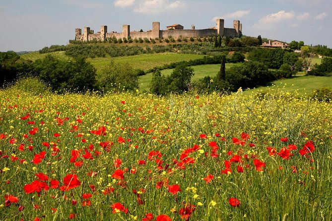 private-tour-guided-hike-in-tuscany-with-transport-from-siena