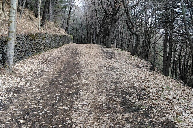 private-tour-of-mount-etna-and-the-alcantara-gorges