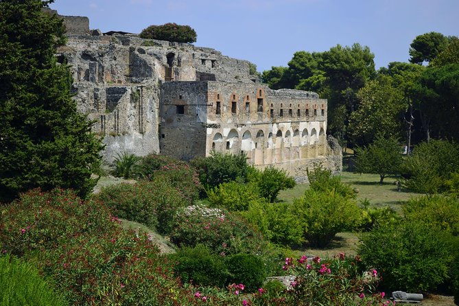 private-tour-pompeii-half-day-trip-from-naples
