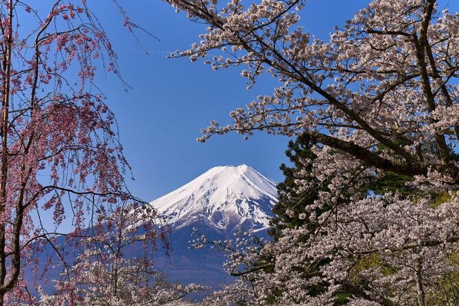 private-tour-to-mount-fuji-with-an-english-driver-from-tokyo