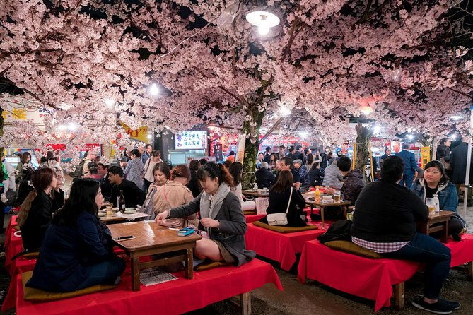 private-unique-kyoto-cherry-blossom-sakura-experience