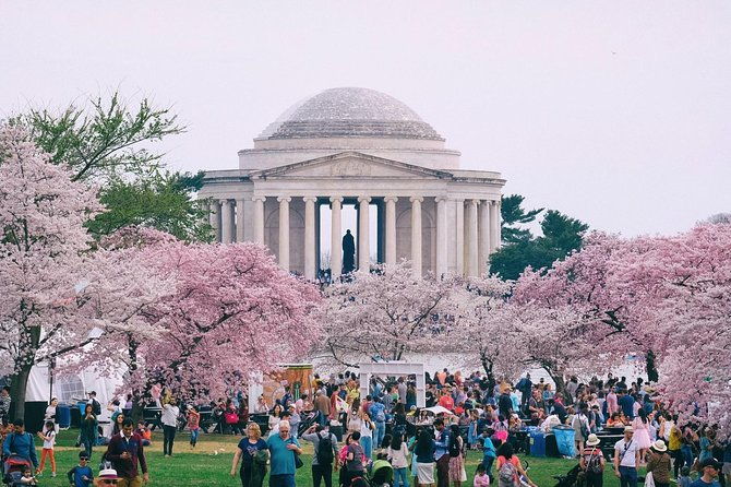 private-washington-dc-city-tour
