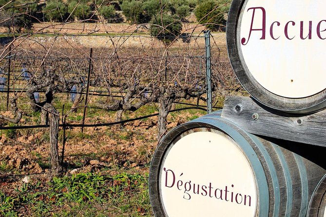 provence-mont-sainte-victoire-in-search-of-cezanne-private-wine-tour