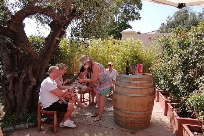 provence-organic-wine-small-group-half-day-tour-with-tastings-from-nice